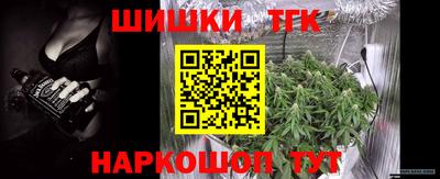 гашик Балахна